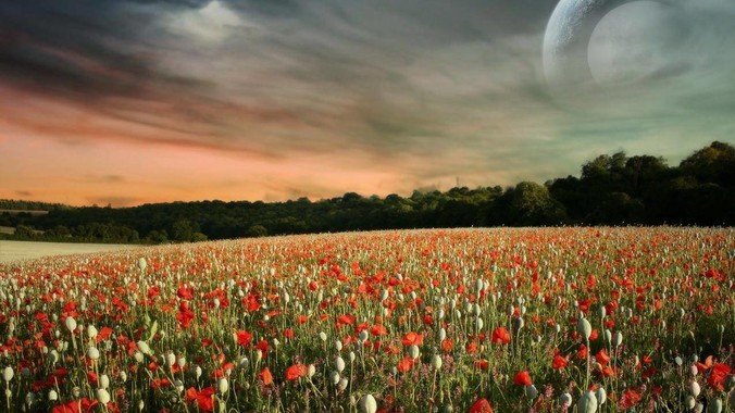 为什么现在亲戚变得越来越不亲了？